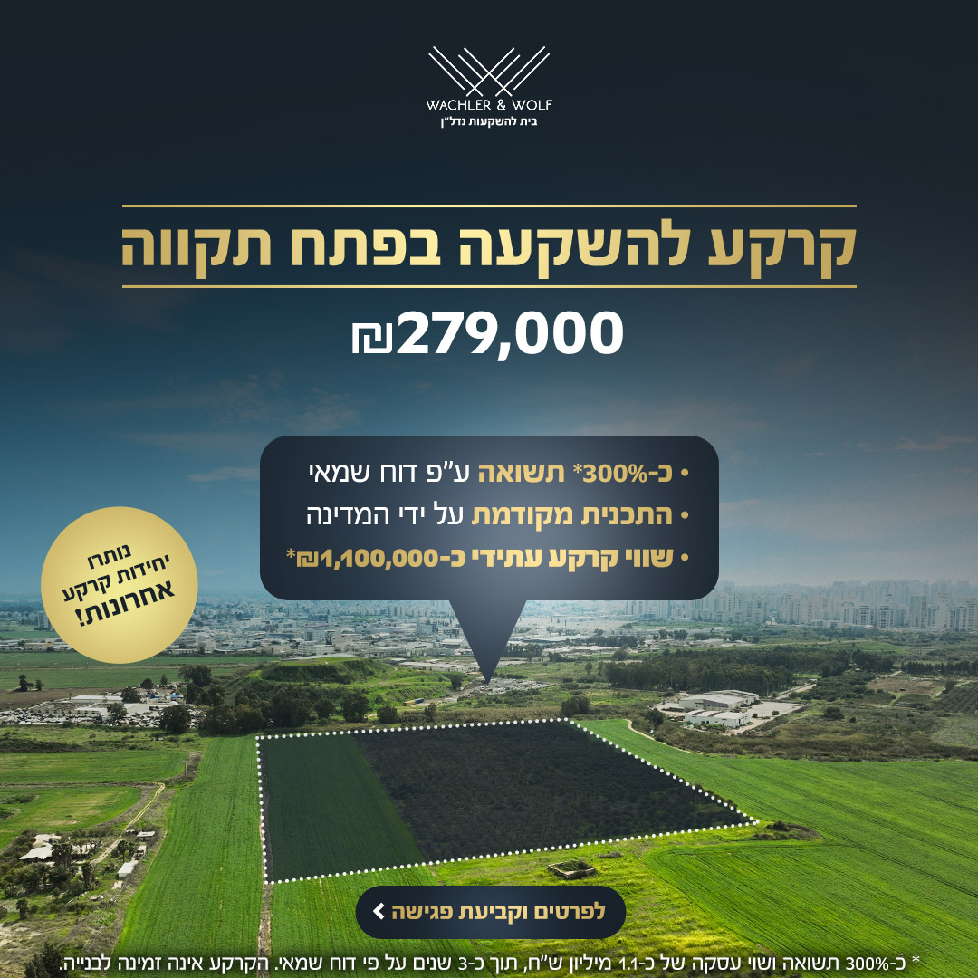 עבודה של ברנדי עבור ווכלר וולף 1