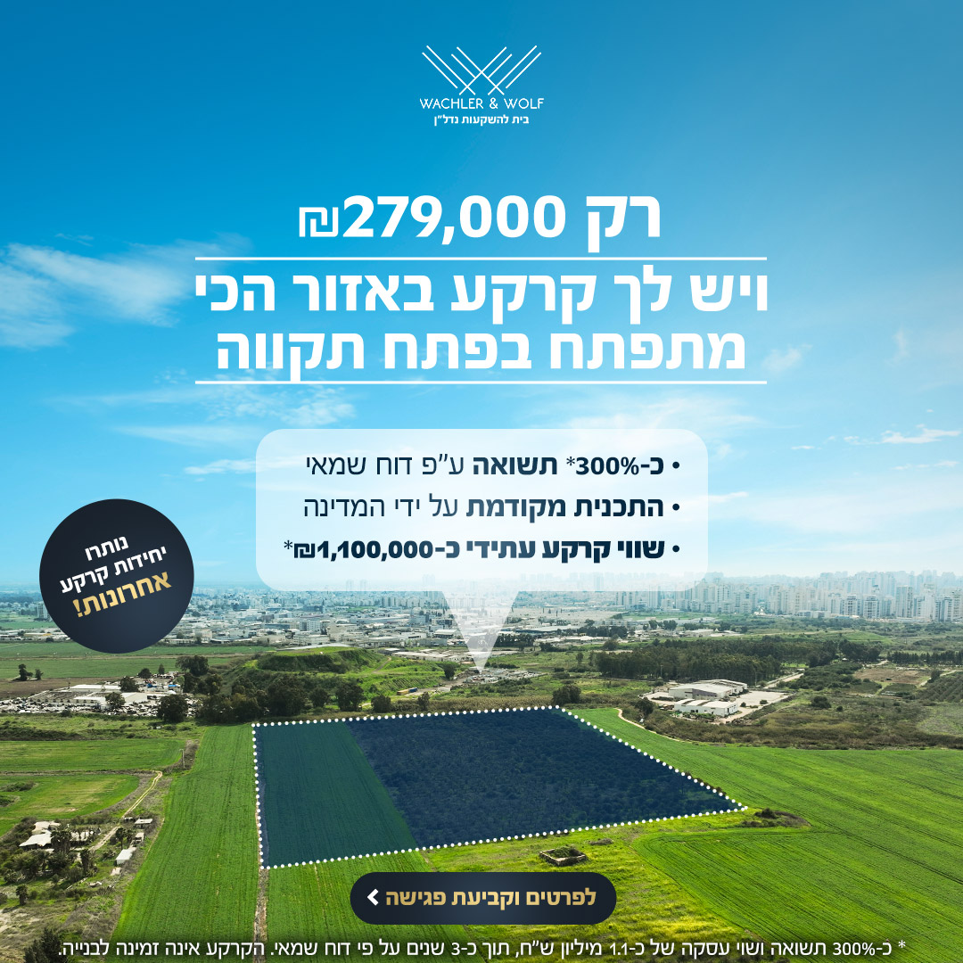 עבודה של ברנדי עבור ווכלר וולף 2