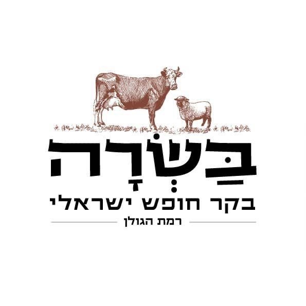 לוגו לקוח של ברנדי 67